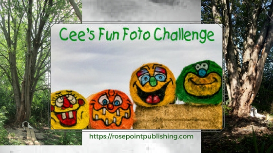 Cee's Fun Foto Challenge