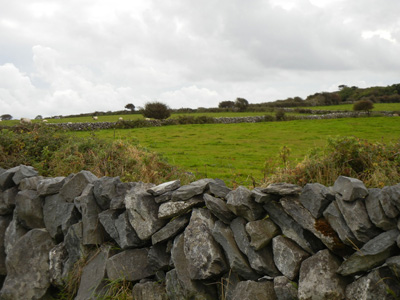 Ireland rock wall taken in 2012 by the author.