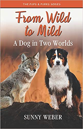 From Wild to Mild by Sunny Weber