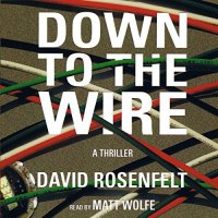 Down to the Wire by David Rosenselt